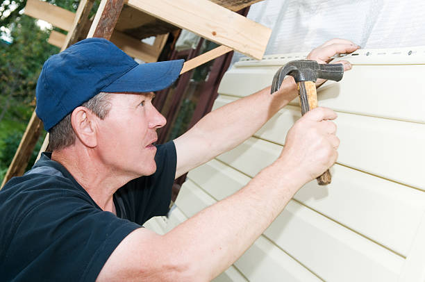 Best Vinyl Siding Installation  in Staples, MN